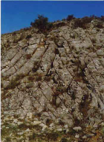 structuralfeatures2.JPG (137358 Byte)