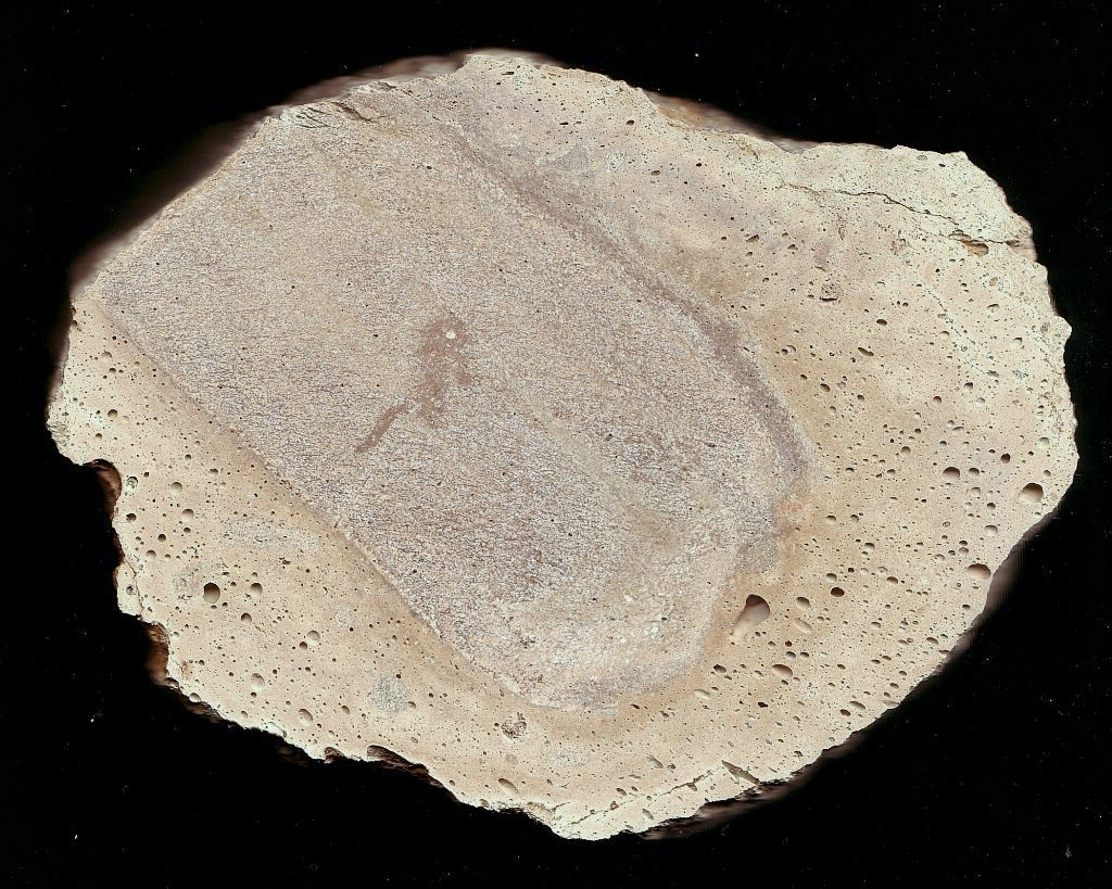 rochechouart impact melt rock gneiss inclusion