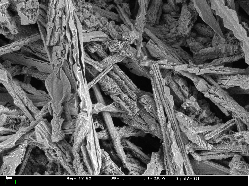 sem-dendritic-crystallites carbonate melt